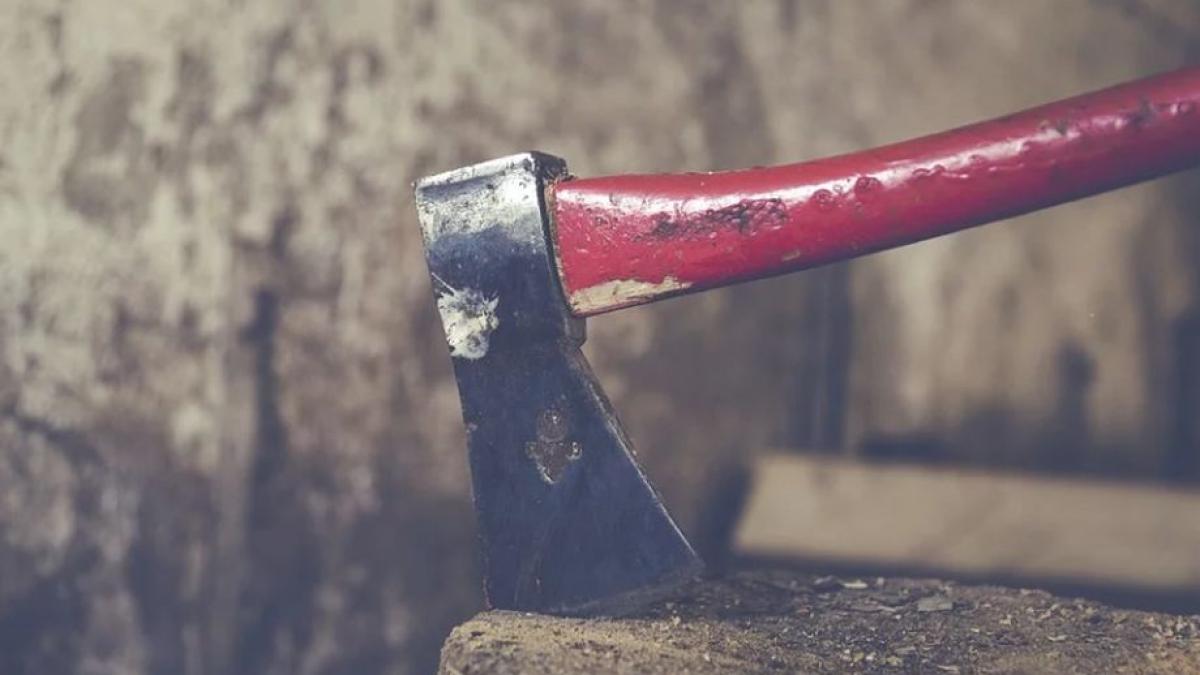 bataie cu topoare intr o padure din prahova imagini socante video