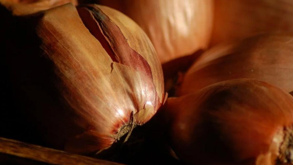 vremea cum sa citesti prognoza meteo in foi de ceapa video