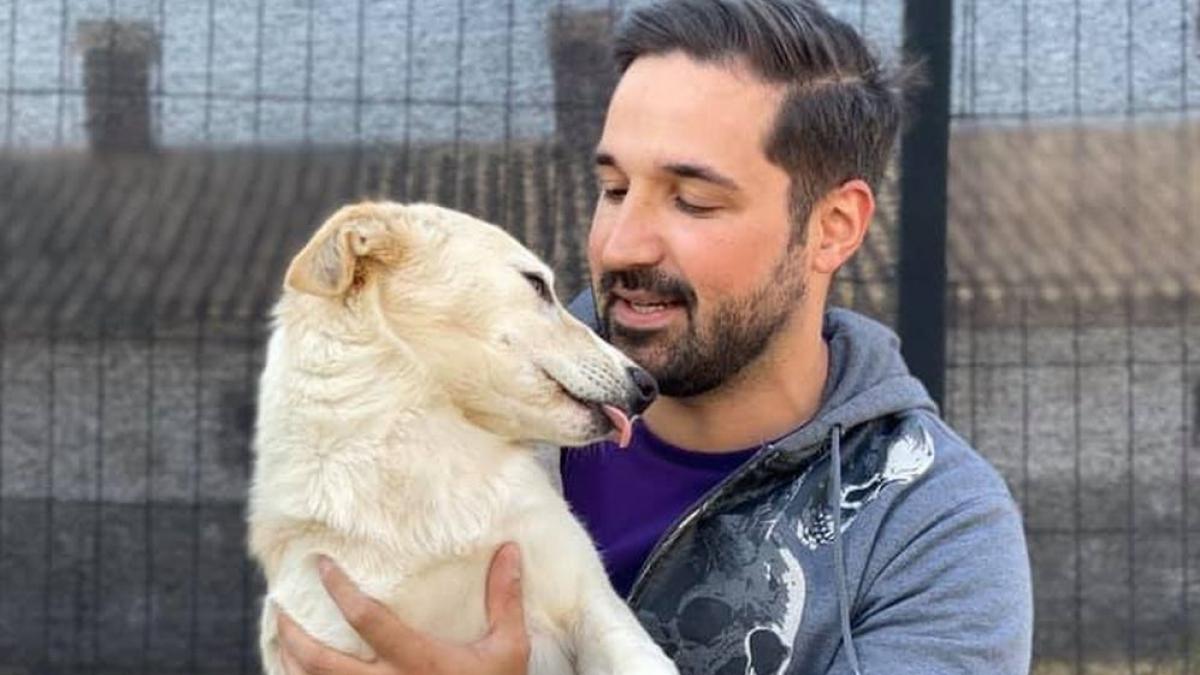 ce inseamna pentru animale distractia noastra de revelion cum ne putem proteja patrupedele de