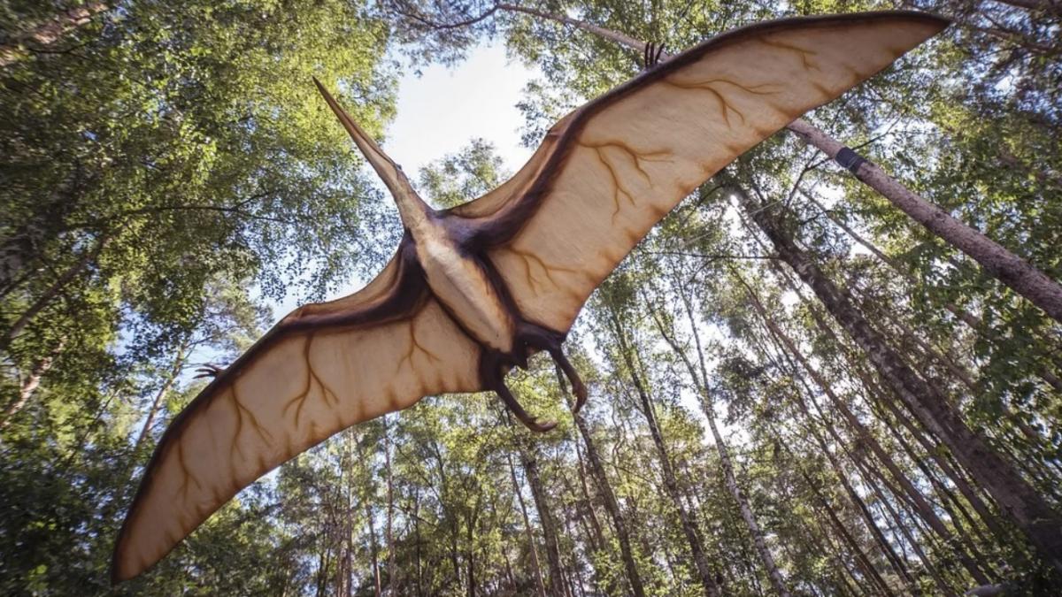 dragonul zburator din transilvania descoperirea uriasa facuta de cercetatori romani si americani