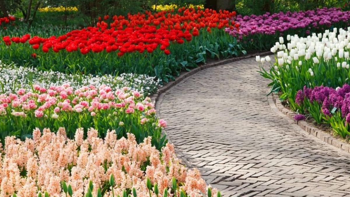 olanda si a schimbat numele cum se numeste acum