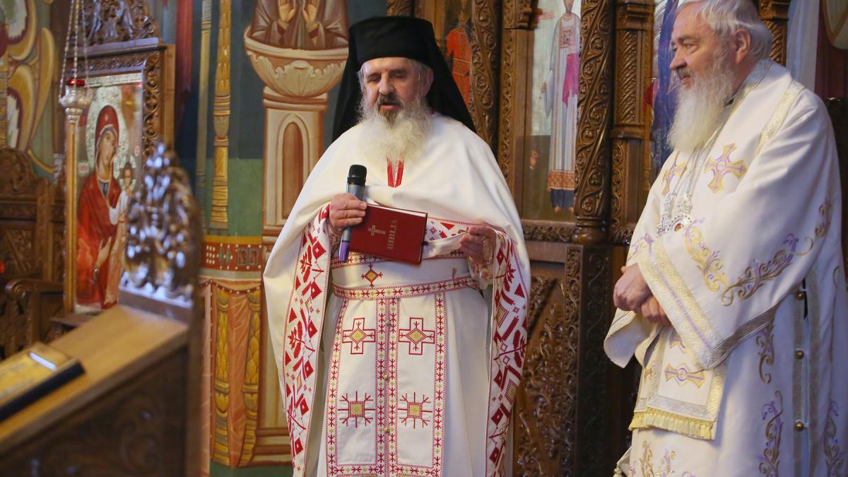 mitropolitul clujului andrei pe urmele gretei thunberg