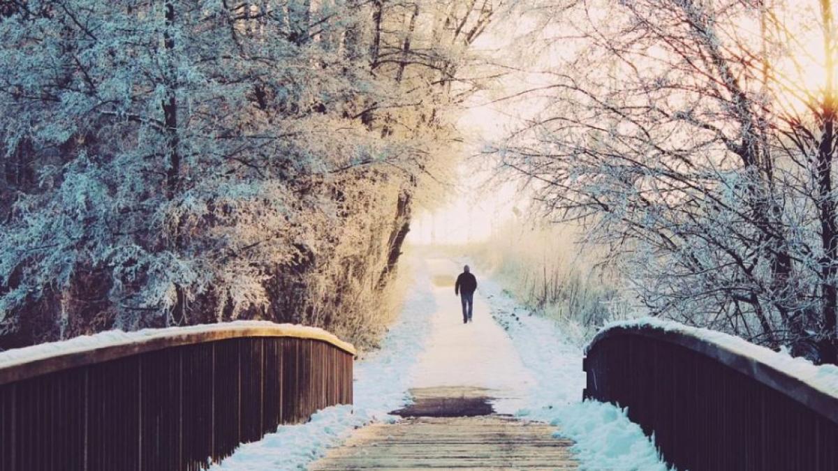 ger la intorsura buzaului minus 21 6 grade celsius