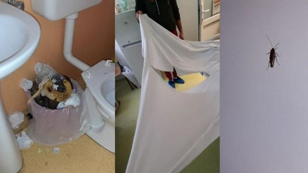 imagini de groaza in sectia de pediatrie a unui spital din romania