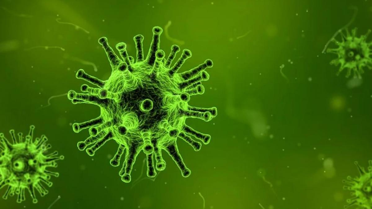 un virus misterios a creat panica in china zeci de oameni s au imbolnavit