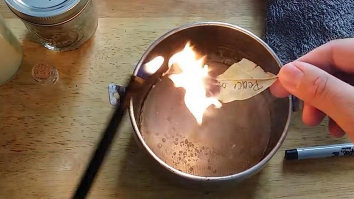 ardeti o frunza de dafin in casa si vedeti ce se intampla in doar 10 minute putini oameni cunosc