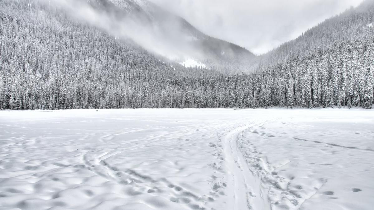 imagini de poveste in inima muntilor locul din romania unde totul este imbracat intr un strat gros