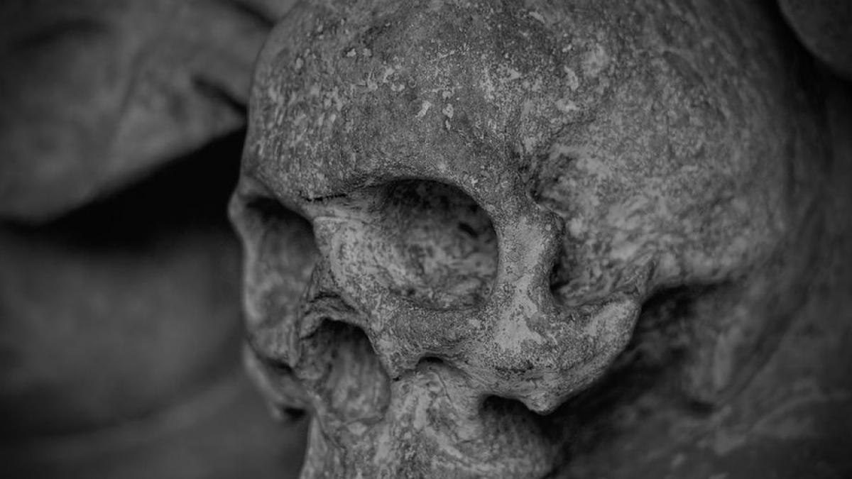 secretele unui creier cu o vechime de 2 600 de ani au fost dezvaluite de oamenii de stiinta