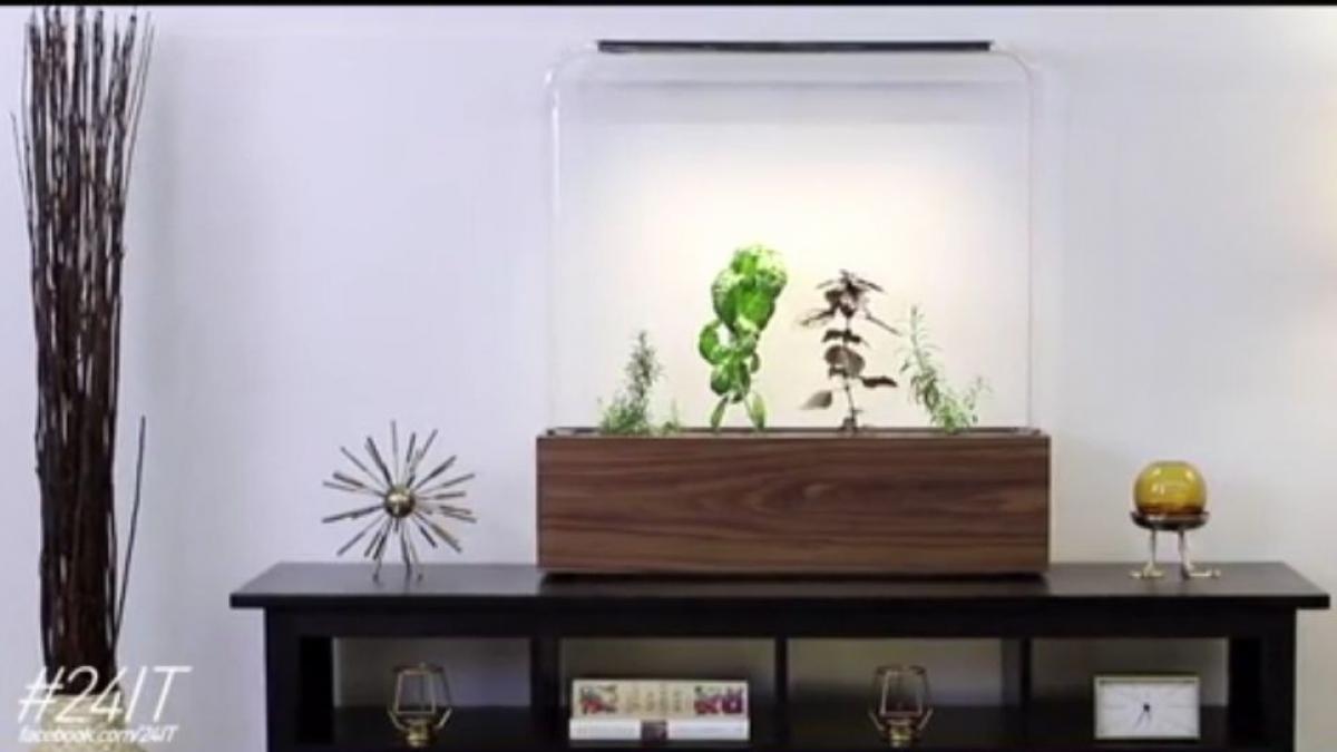 24 it cum arata gradina acvariu cu control din telefon