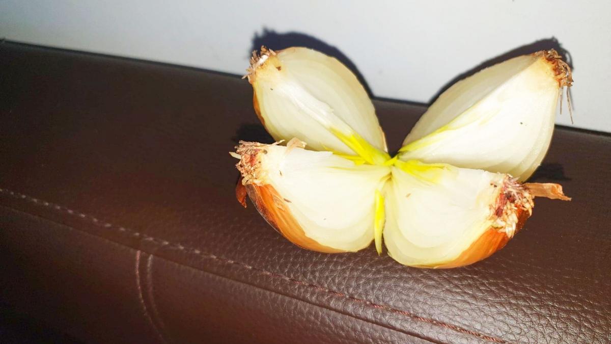 pune o ceapa taiata in patru langa pat si vei respira mai bine atunci cand esti racit isi face