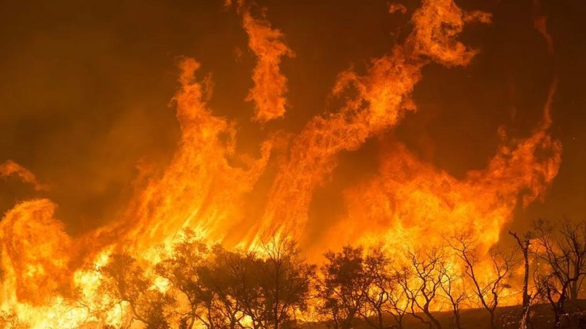 scene de groaza in australia rafalele puternice de vant au facut ca flacarile sa se extinda rapid