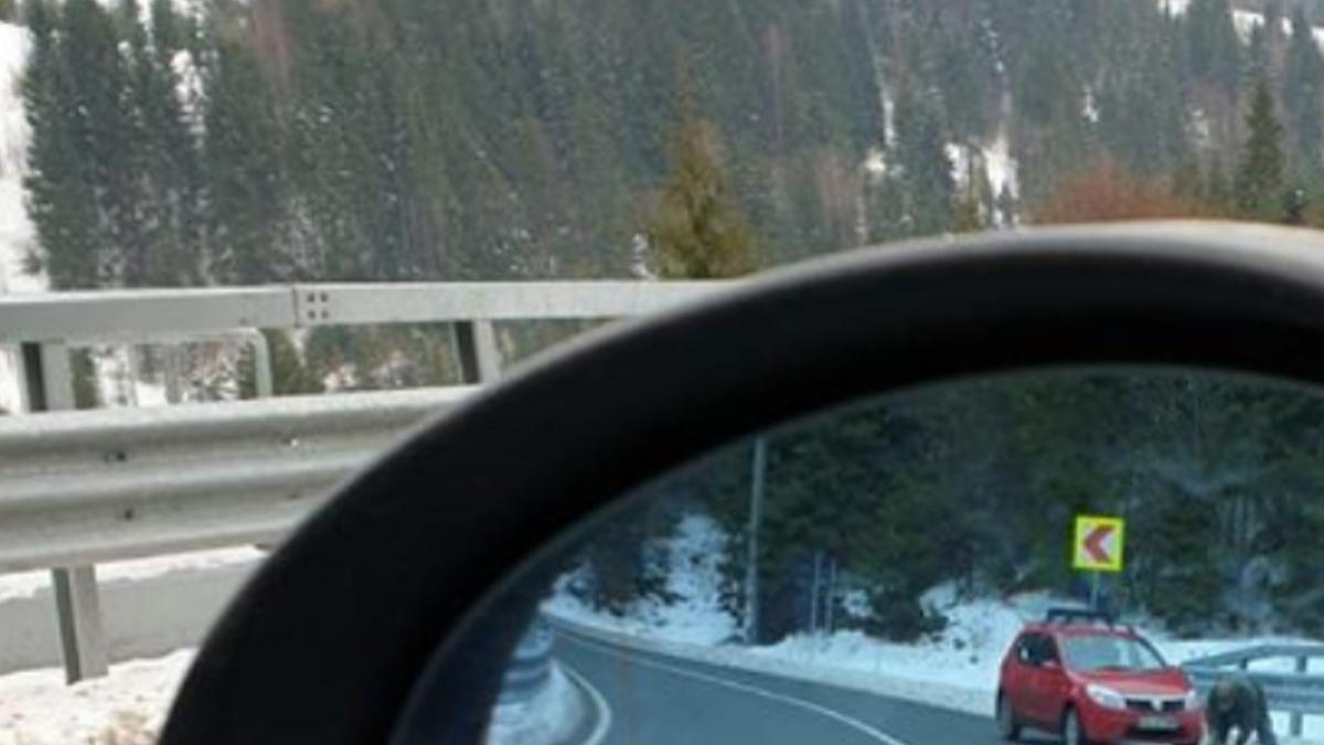 rasturnare de situatie in cazul barbatului care a impuscat un caine pe strada