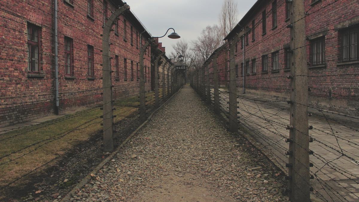 doi veri din romania despartiti in timpul holocaustului reuniti dupa 75 de ani e asa bine sa te vad