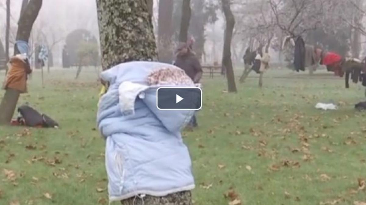 haine pentru nevoiasi si persoane fara adapost agatate de copaci in parcul central din timisoara