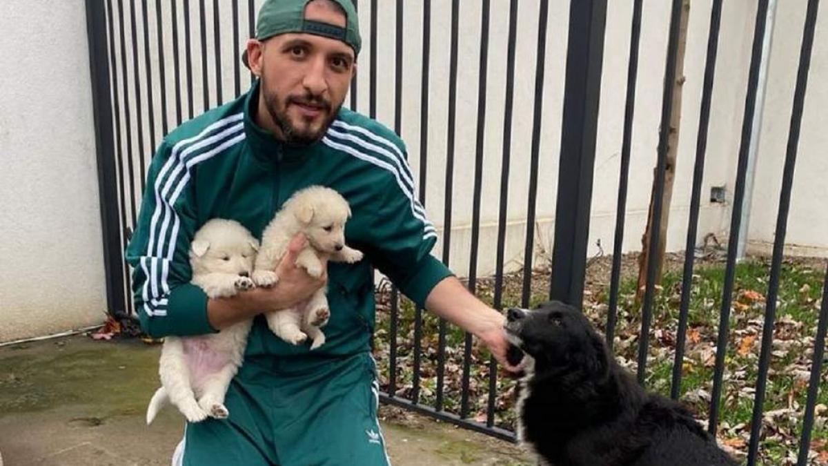 stefan mandachi a primit un telefon surpriza de la cristina topescu in urma cu o luna parca voia sa