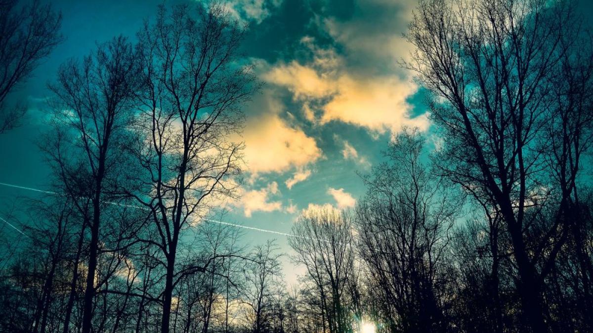 vreme neobisnuit de calda pentru aceasta perioada cand scad temperaturile