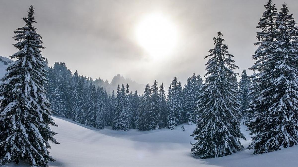 vremea prognoza meteo pe patru zile vreme in general inchisa