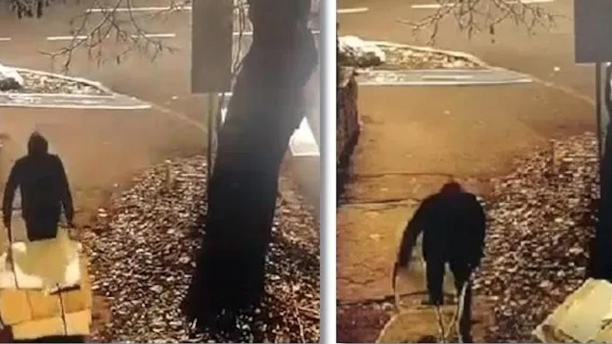 la ceas de seara un barbat din timisoara a iesit din curte cu o roaba incarcata se comporta extrem