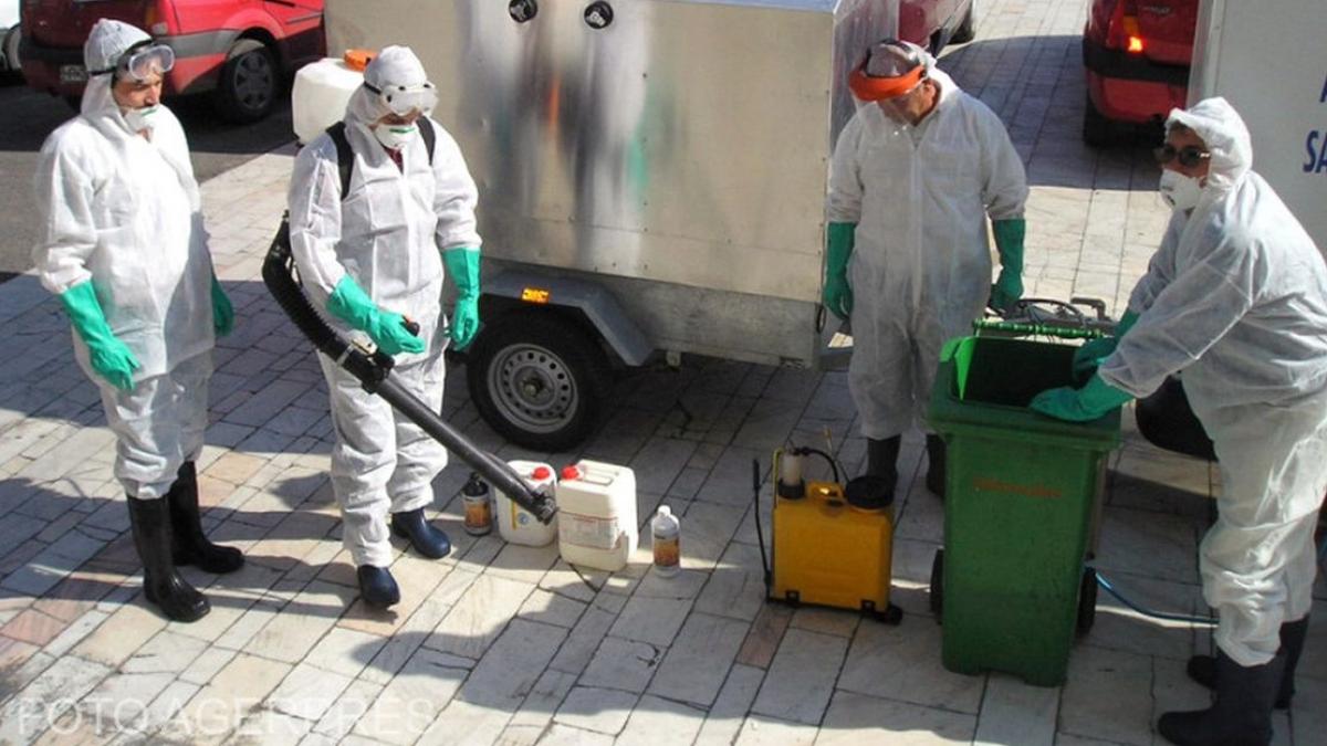 alerta de gripa aviara al doilea focar a fost depistat tot in maramures