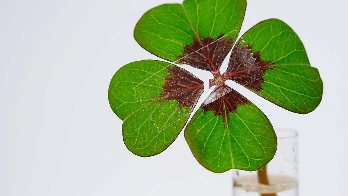 horoscop cele mai norocoase si cele mai ghinoniste zodii