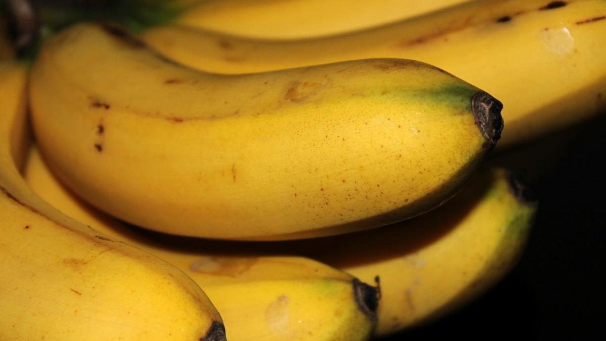 acesta este cel mai puternic somnifer natural cu efect imediat in cateva minute adormi bustean