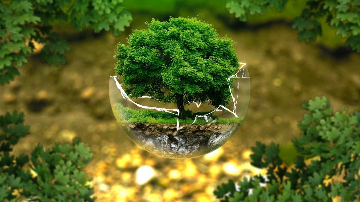 EcoFerma României. Cum se poate trăi mai sănătos și cum se pot face producții omologate pentru agricultura ecologică.