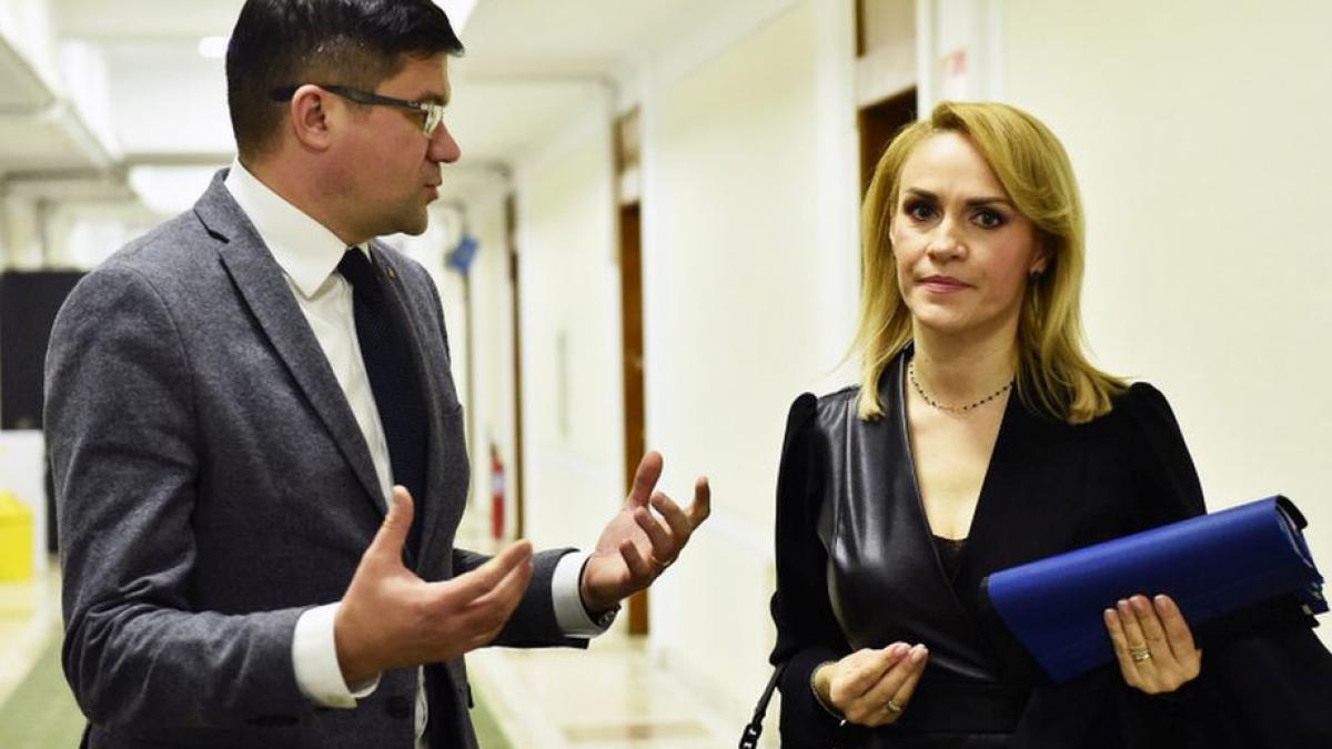gabriela firea dupa intalnirea cu ministrul mediului ne am propus sa fim mai drastici privind