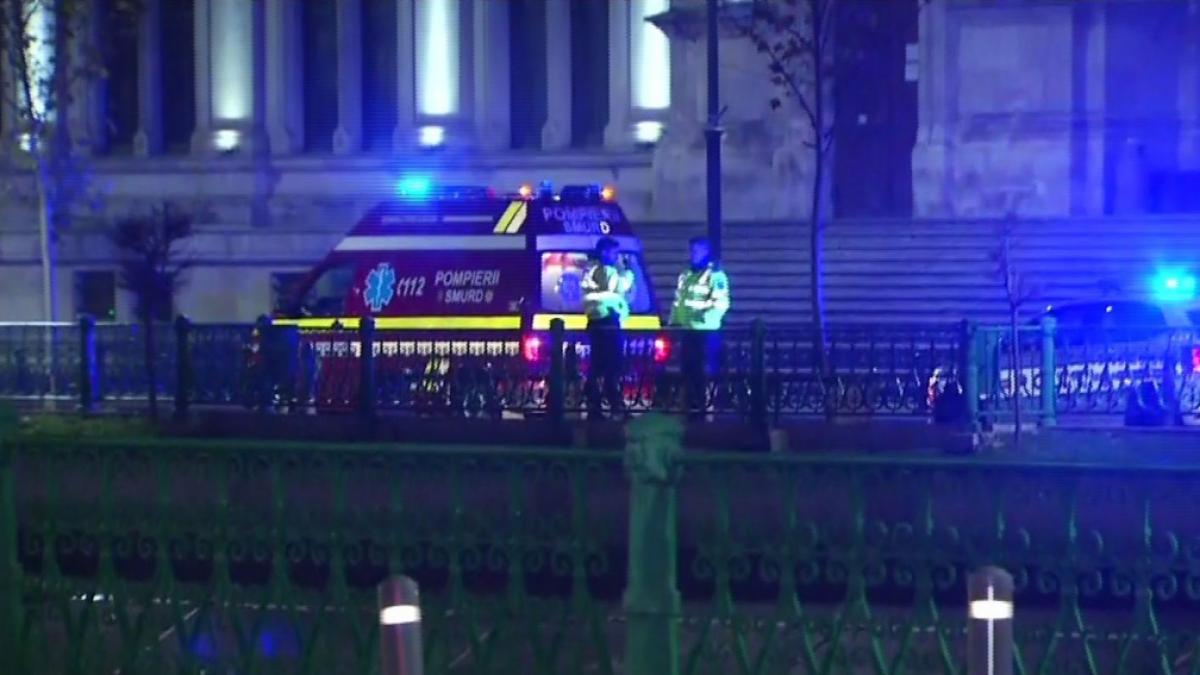 scene incredibile in bucuresti o femeie s a aruncat in dambovita motivul pentru care a recurs la