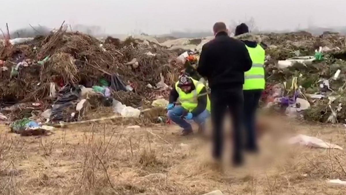 descoperire macabra pe un camp de langa timisoara resturi de cadavre umane aruncate la gunoi