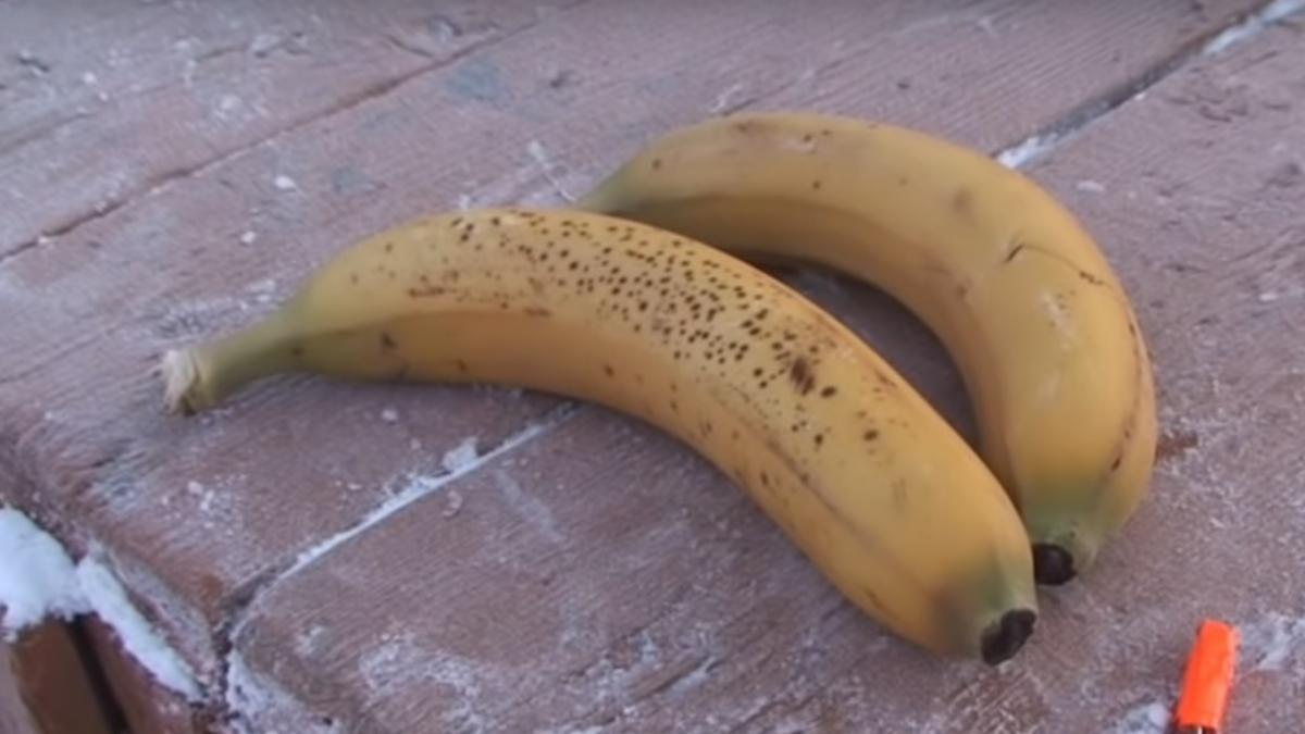 imagini greu de privit ce se intampla cu o banana la minus 52 de grade video