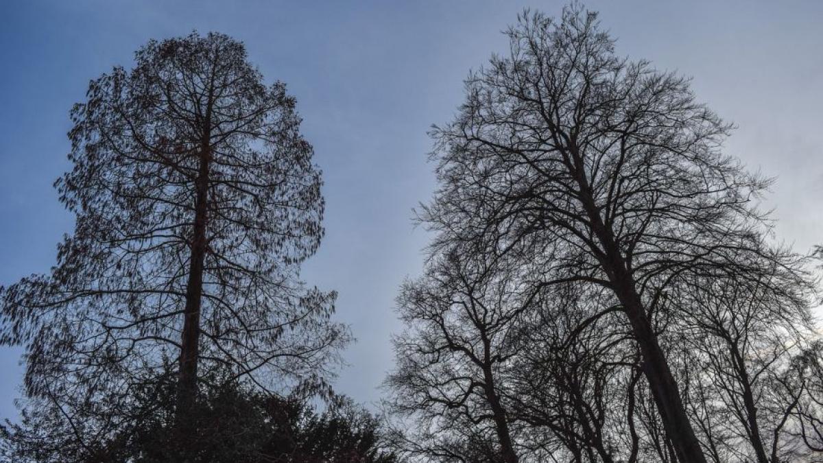 seceta extrema baga romania in criza alimentara