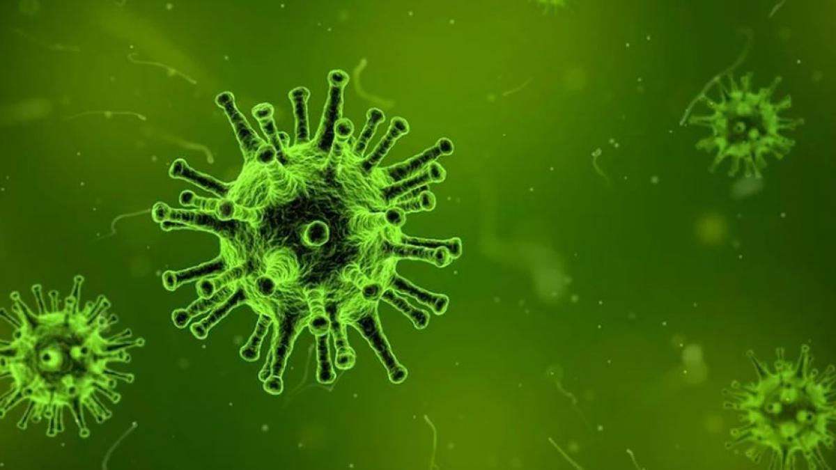 un virus ucigas se raspandeste rapid in lume iar autoritatile romane sunt in alerta epidemia ar