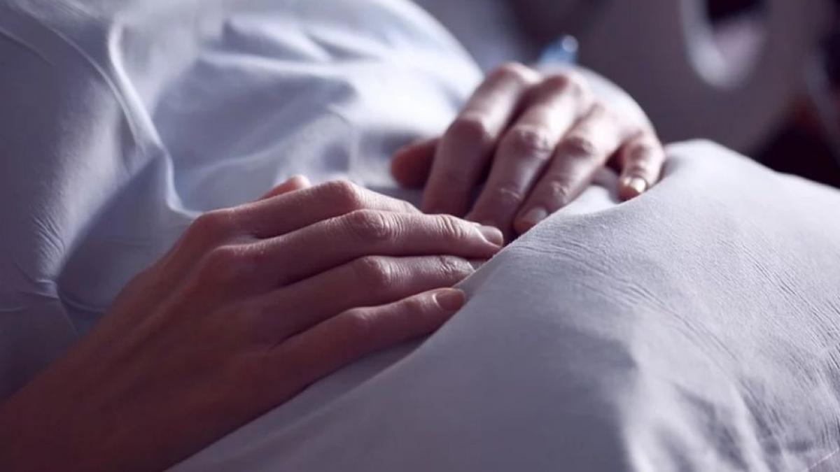 avertisment privind un nou virus provoaca febra hemoragica si ataca mai multe organe