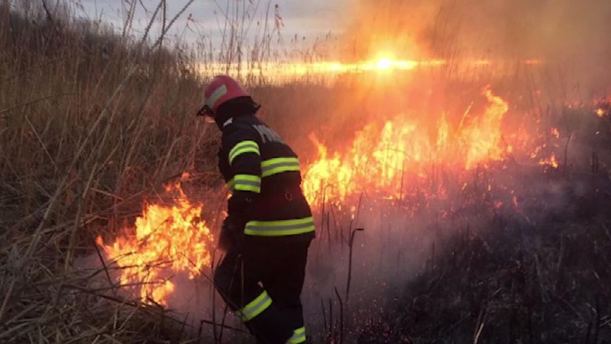 incendiu puternic in delta dunarii patru hectare de vegetatie si stuf sunt in flacari