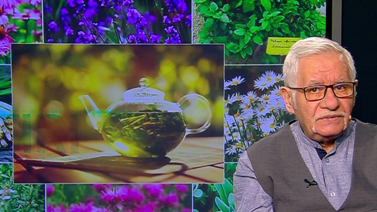 horoscop magia zilei cu mihai voropchievici planta protectoare a zodiei balanta