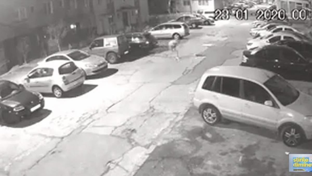 razbunare in stil mafiot masina unui politist a fost incendiata la comanda