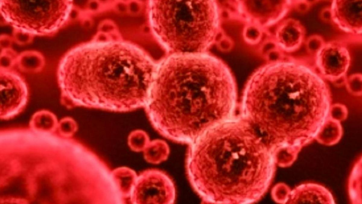 coronavirusul din china face ravagii japonia isi va evacua cetatenii din orasul chinez wuhan