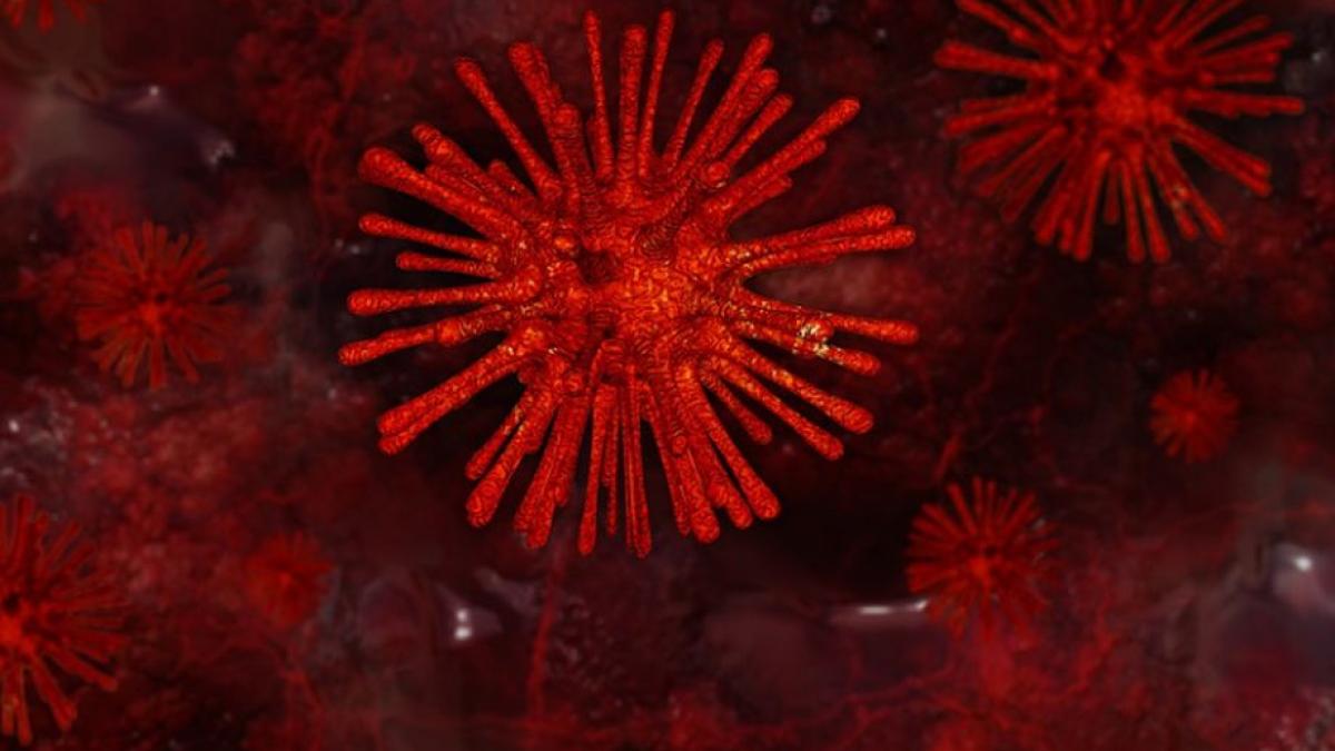 mae a anuntat cati romani se afla in wuhan locul de unde s a raspandit virusul ucigas