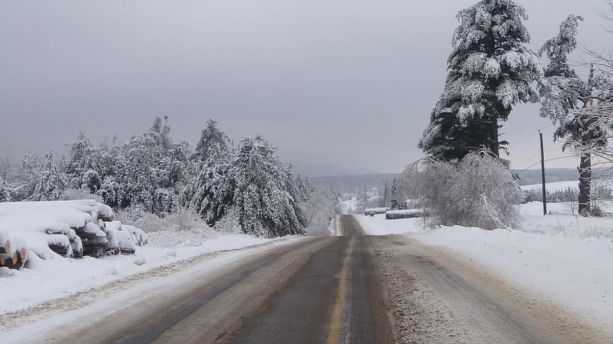 alerta meteo ploi polei si vant puternic care sunt judetele vizate