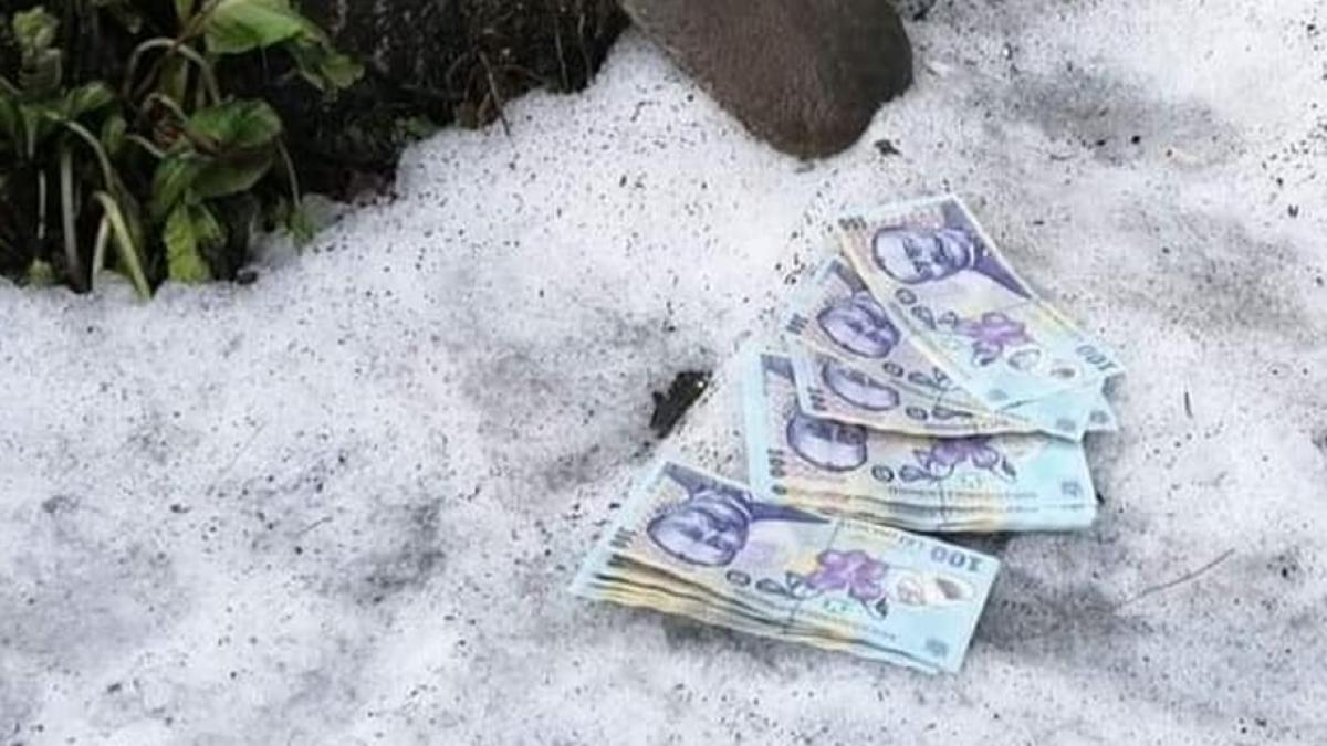gest incredibil ce a facut o femeie din bistrita dupa ce a gasit 2 000 de lei pe strada