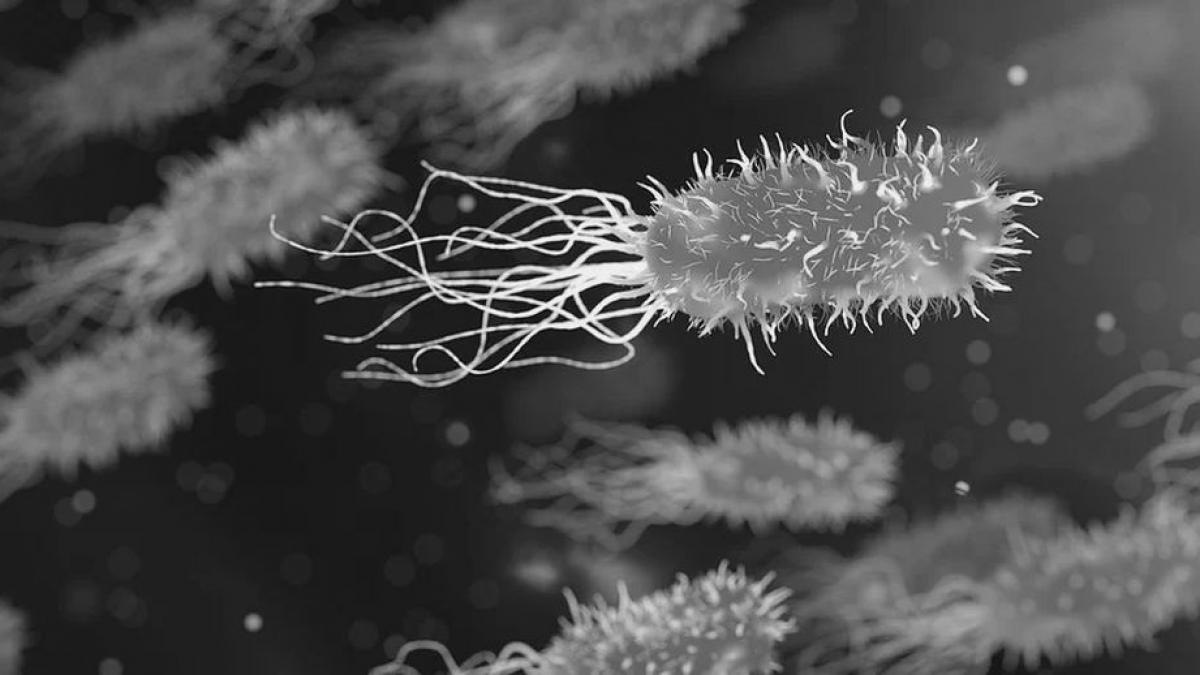 rusia se alatura echipei care cauta un vaccin impotriva noului coronavirus