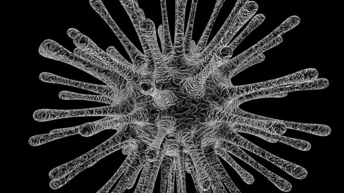 Coronavirus. Ce măsuri a luat România