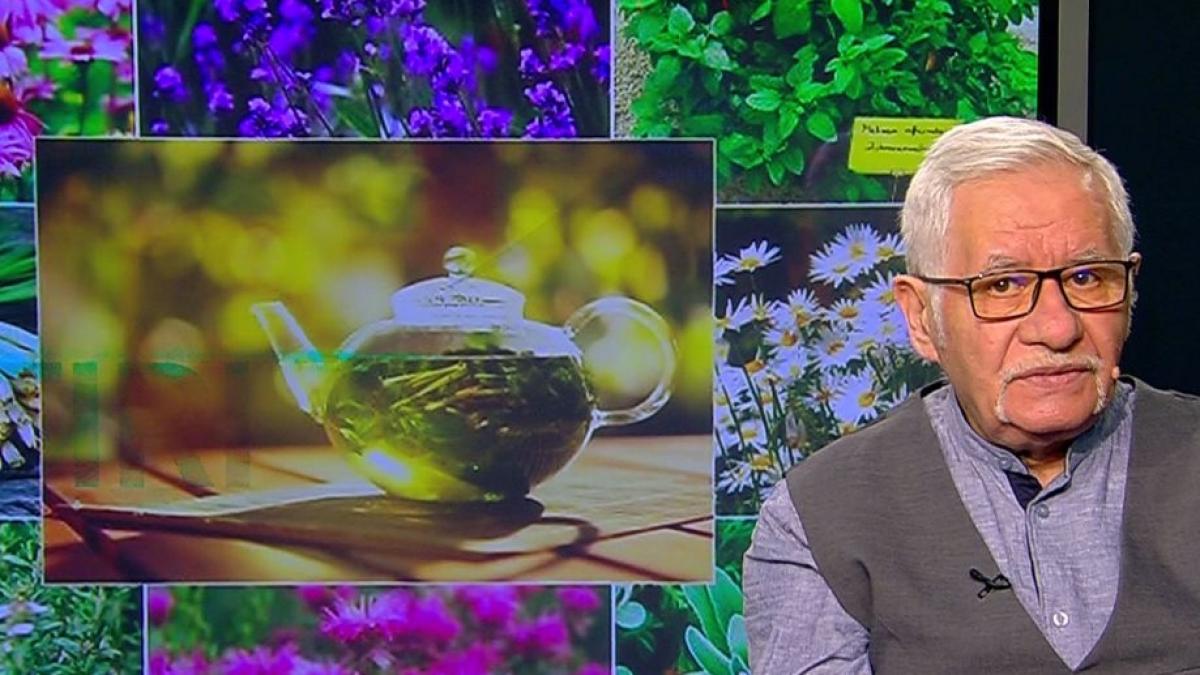 horoscop magia zilei cu mihai voropchievici planta protectoare a zodiei pesti