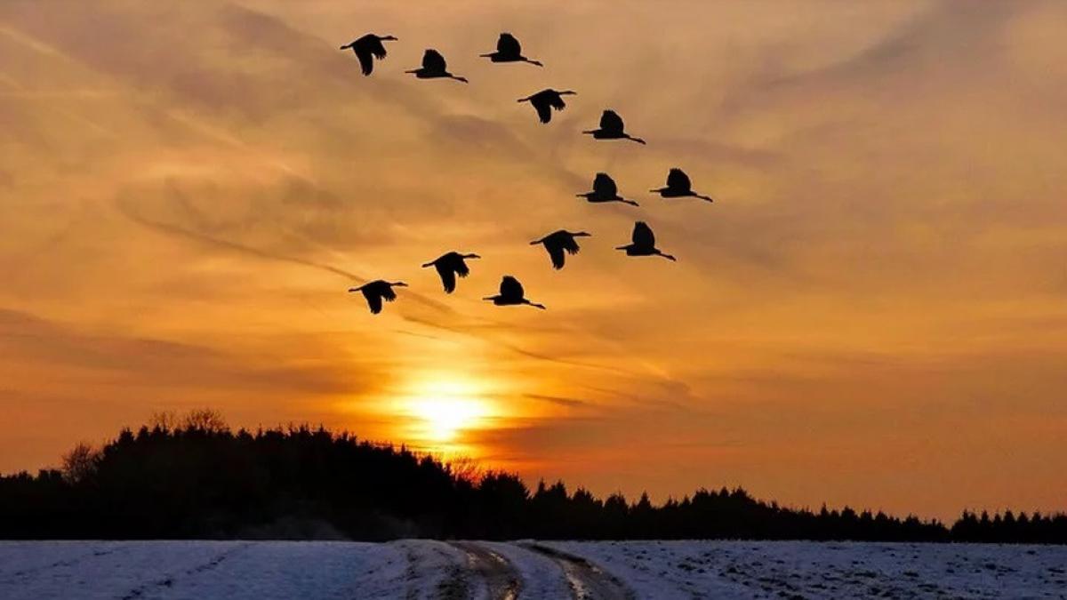 vreme de primavara prognoza meteo