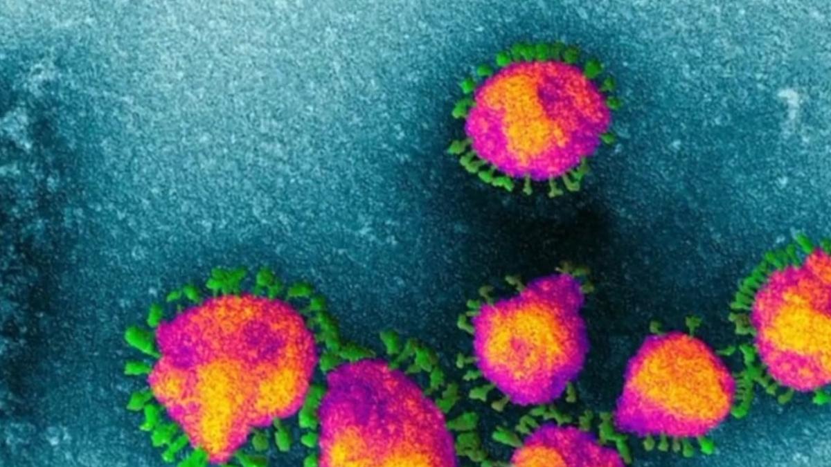 informatii soc virusi antici sunt eliberati din ghetarii topiti