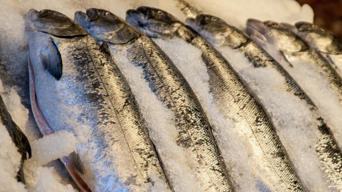 soc pentru o romanca din spania dupa ce a cumparat peste dintr un supermarket ce iesea din el foto