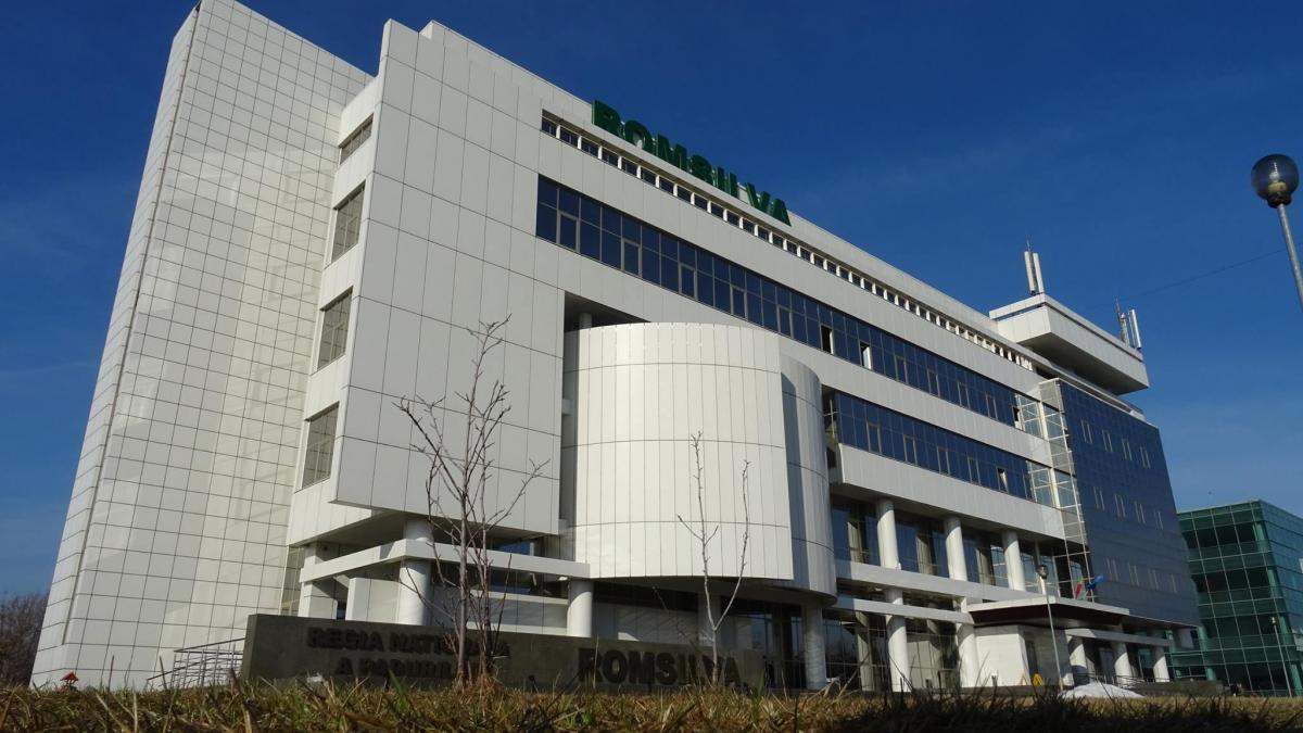 directorul general romsilva schimbat din functie