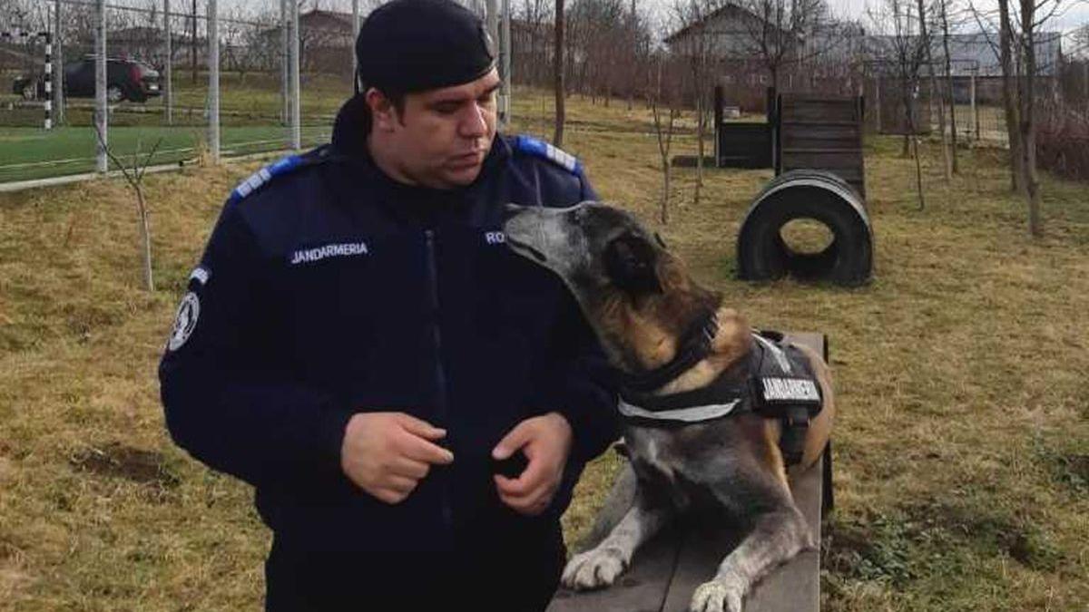 gestul impresionant facut de un jandarm a adoptat catelusa cu care a participat la misiuni dupa ce