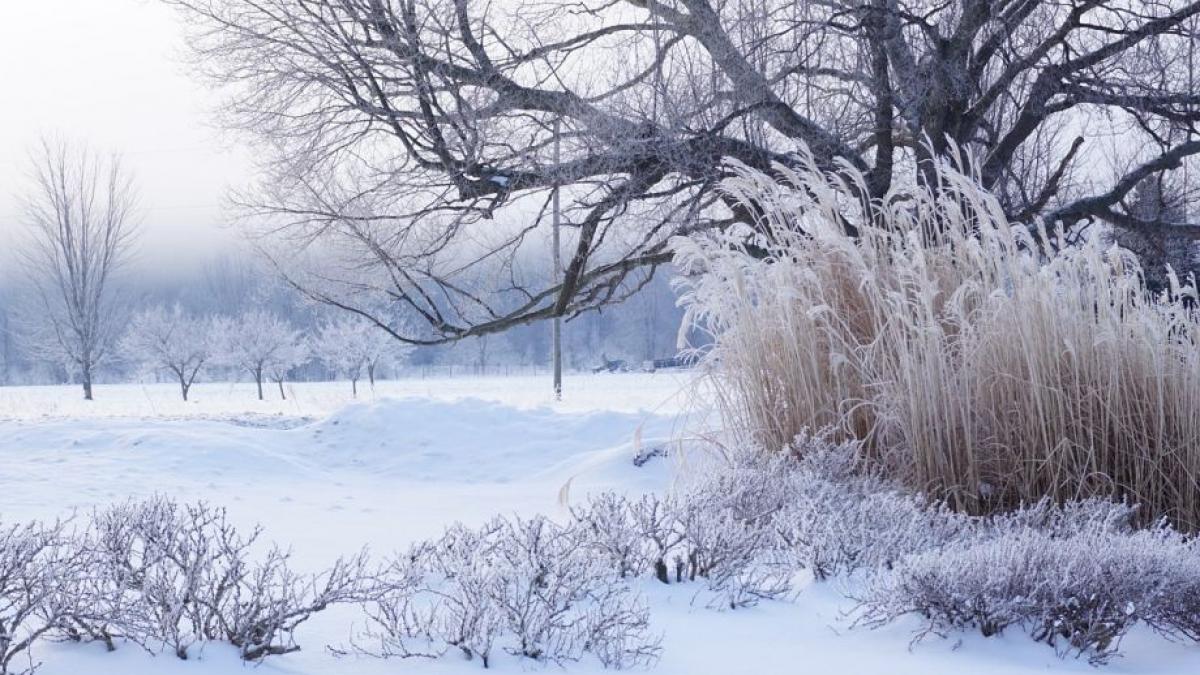 anuntul meteorologilor romania lovita de ger dupa valul de ninsori