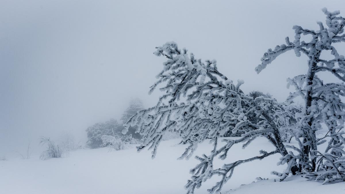 ger de crapa pietrele in maramures minus 32 de grade celsius la statia meteo din muntii pietrosul